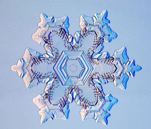 the_beauty_of_snowflakes_up_close_640_03